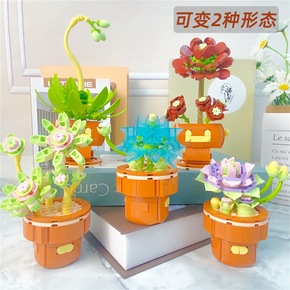 2024 City Creativity Succulent - đánh giá và giá Lego Set Creator